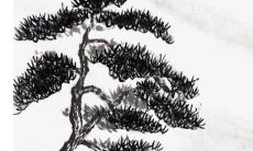 2022年生肖猪的全面运势预测及解析