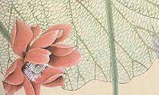 预测1975年出生的兔在2022年的运势如何？