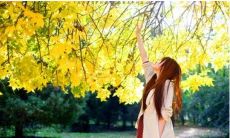 丹凤眼的男人是多情还是专情的？一场探究情感的比拼