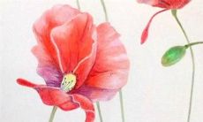 预测：58年生男在2022年的财运、事业和爱情运势表现如何？