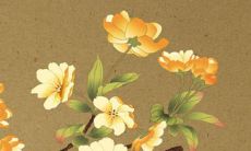 2022年出生的人八字喜哪些？他们的运势会如何？