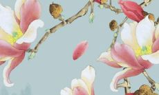 揭秘2022年马运势——根据周公解梦的预测！