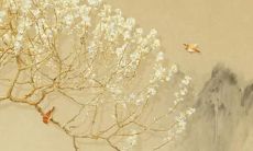 探究2022年运势的最新规划：预测和解读你未来的幸福之路