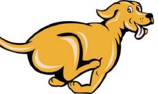 属狗者1958年出生，现迎来牛年2021，他们的命运将会如何呢？