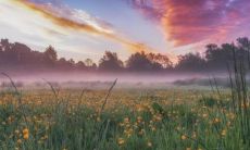 男蛇女狗的婚姻稳定性及其维持时间：一份探究男蛇女狗关系的研究报告