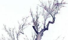 如何化解2022年蛇犯太岁带来的厄运？属蛇人在虎年遭遇太岁犯身，应该如何处理？建议使用红绳破解犯太岁的影响