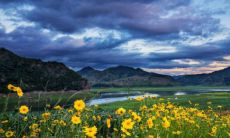 1963年出生的兔子有几次婚姻经历？而且，根据中国的传统星相学说，1963年出生的人属于什么命？