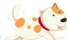 Mythical Life Forecast for a 64-Year-Old Chinese Zodiac Dog Woman Born in 1958: What Does 2021 Have in Store for Her?