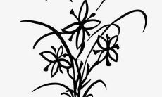 50个简单又好听的英文名字推荐