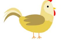 1957年出生的生肖鸡男今年已迎来65岁之冠，让我们一同探究2021年的运势，看看57年的这一年是否有令人惊喜的好运降临