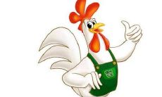 探寻1957年出生65岁生肖鸡女在2021年的命运：57岁的她能否顺风顺水迎来好运？