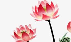 如何在2022年为出生的宝宝选择合适的名字？