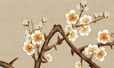 2022年生肖女猪的运势预测：从71年前的出生到未来一整年，详解幸运与挑战！