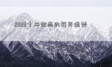 2022年度十二生肖每月运势详解，精准预测财运、事业、爱情、健康等方面，助您开启幸福美好的一年！