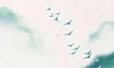 ，感情生活亮点纷呈，财运亦有所提升：根据星象预测，对于属牛人来说，尤其是在6月期间，无论是事业上还是感情生活中，都将迎来一波稳定增长的好转，同时财运也有机会有所提升