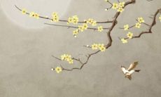 探讨70岁男性与宠物狗的2022年命运走向：吉凶祸福预测