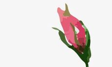 如何给你的小组起一个独特且好听的名字？