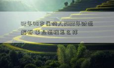 2022年财运解析及事业运程：探究82年属狗40岁人的命运走向