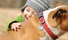 查询小孩生辰八字所缺之五行元素的免费方法