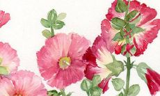 哪个网站提供最好的起名字服务？