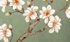 ——概览、预测、解读：探究在充满变幻的2022年中，出生于农历八月的猴年属相人的运势和命运走势