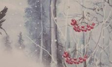 探寻属狗人士的幸运数字：从生肖狗到手机尾号，遇见吉利数字的指引！