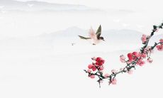 预测：95年出生人在2022年会迎来怎样的命运和流年运势？