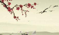 多彩人生，探寻最适合您的男孩名字——来自姓张的充满活力与魅力的选项归纳！