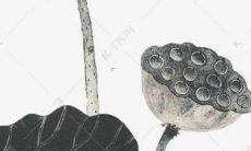 60年属鼠的女性在2022年将会迎接怎样的全年运势呢？