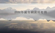 2022年的女性蛇年，你准备佩戴什么样的饰品才能展现你的高雅品味与气质呢？