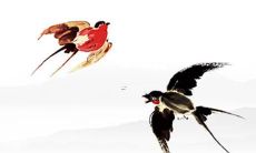 完整易经八卦图解引导，催生出的详细公司名称清单