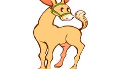 探究1954年出生的68岁生肖马男在2021年的运势，揭秘其54年的运势表现是否延续至今年？