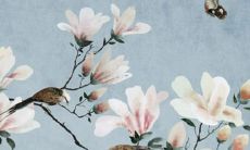 2022年属猪人的运势解读：麦玲玲带你看透猪年事业、财运、感情、健康趋势