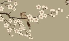 属猴人需要额外警惕的年份是哪一年？究竟属猴最难熬的是哪几年？