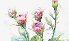 具有时尚感的女孩名字推荐：优美且富有国际范儿的姓任小姐新名字