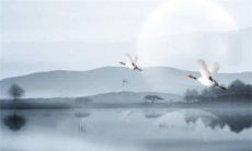 95年属猪人2022年如何在不同月份提升桃花运的技巧与建议？