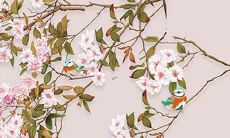 如何化解2022年属猴人因犯太岁而带来的不利影响？