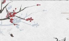 以“王”字作姓，听起来悦耳动听的女孩名字推荐