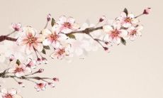 2022年小蛇的运势：预测、趋势和建议