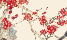 预测：探寻2022年74属虎女命运，揭秘一生劫数及其应对之策