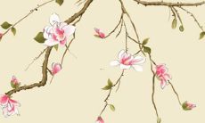 2022年属牛女的整体运势展望：事业、财运、感情等方面的分析与预测