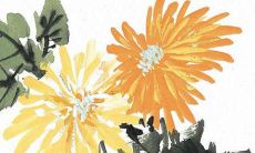 属牛女性2022年全年运势运程：详尽预测与分析，解读星象变化，探究吉凶转折，指引顺遂发展之路