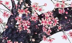 根据八字预测，预测2022年至2096年75年间，属兔人的运势及运程