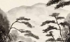 2022年戊午日柱男的详细运势预测，包括事业、财运、感情与健康等方面