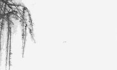 清晰揭示属猪人2022年运势的精准预测：一定值得你信赖！