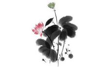 探寻弹弹堂游戏中备受赞誉的好听女生名字之选