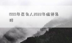 针对于属兔人的1999年版运势，对于即将到来的2022年的变数及发展趋势进行预测和分析