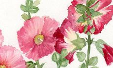 2021年新生男婴可爱、优美、个性化的名字推荐