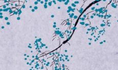 2022年农历各月猪运势预测：综合星星之力，探寻八三年出生猪的命运走向！