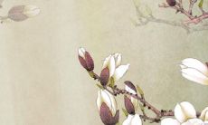 属狗的人在2022年的桃花运势如何？